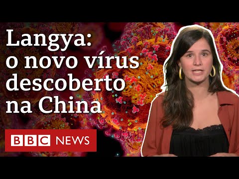 Langya henipavirus, a nova ameaça identificada na China