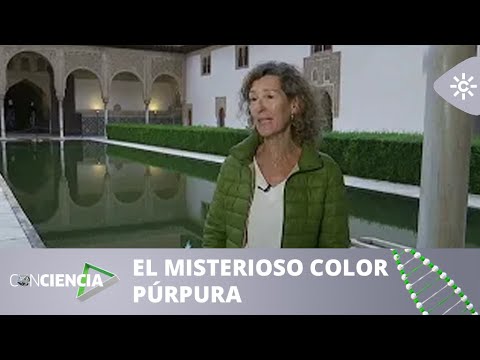 ConCiencia | El misterio de los mocárabes púrpuras en La Alhambra