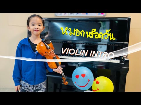 หมอกหรือควันอินโทรไวโอลิน🎻