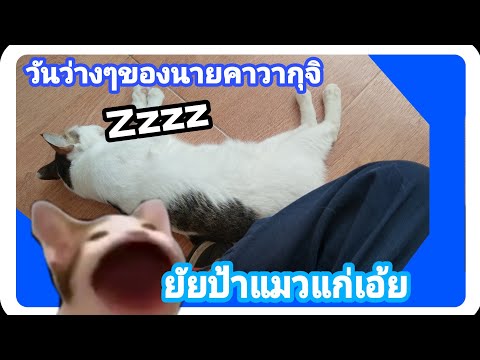 วันว่างๆของนายคาวากุจิ-:-ยัยป้ วันว่างๆของนายคาวากุจิ-:-ยัยป้