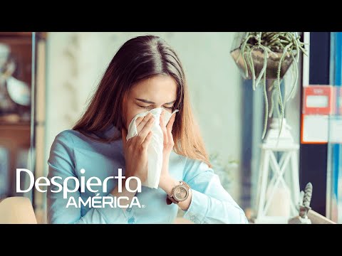 ¿Estornudar por varios días podría ser síntoma de coronavirus | Dr. Juan