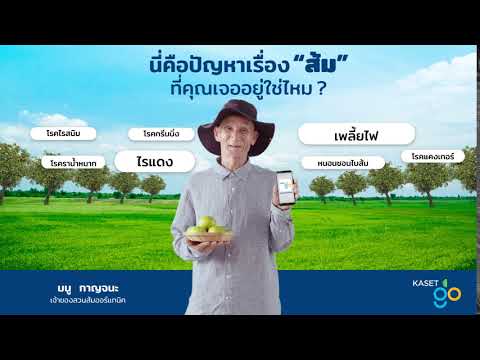 ทุกปัญหาเรื่องส้ม-มีคำตอบที่นี ทุกปัญหาเรื่องส้ม-มีคำตอบที่นี