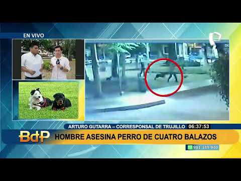 Justicia para Teo: sujeto dispara 4 veces contra perro que jugaba en parque de Trujillo