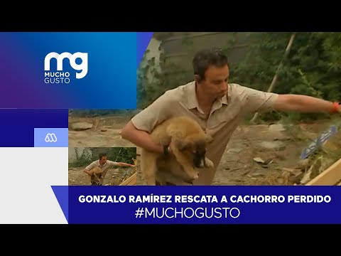 #MuchoGusto / Gonzalo Ramírez rescató a cachorro abandonado en pleno incendio en Tomé