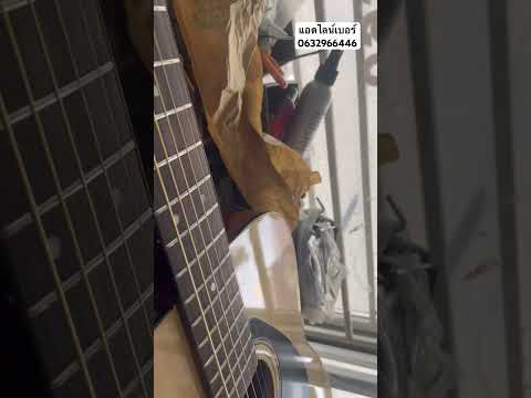 กีตาร์Yamaha310