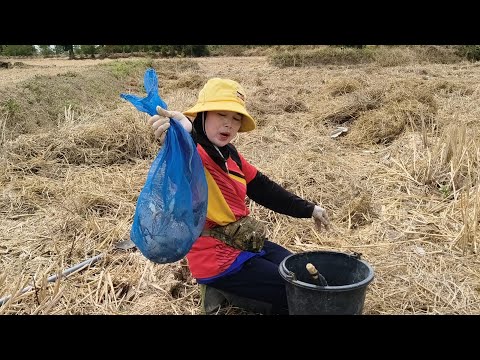 เปิดเขียดใต้ฟางเขียดโม้มีแต่โต