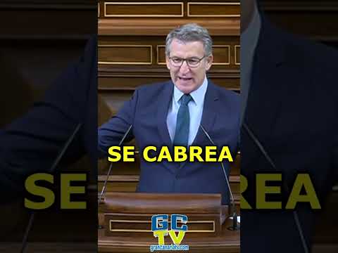 FEIJÓO SE CABREA porque le piden que hable del tema del Congreso #pp #psoe #vox #sumar #podemos