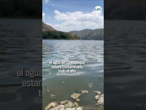 Mal olor y contaminación en lago de Coatepeque #Shorts #ElSalvador