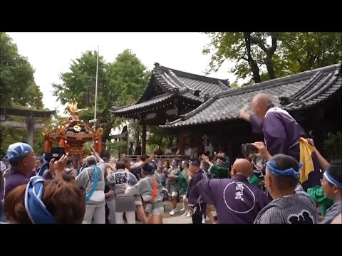 Traditional Tokyo shrine-carrying festival returns after six-year hiatus