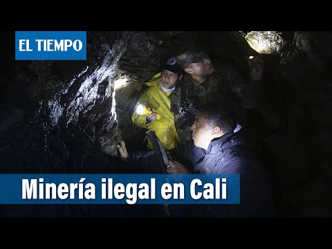 Minería ilegal, un fantasma que destruye los Farallones de Cali | El Tiempo