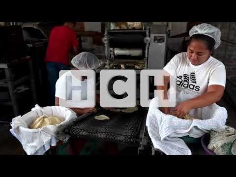 ¡Por aumentos a la harina! Tortillas de maíz podrían sufrir nuevo trancazo