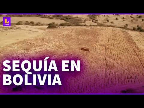 Bolivia: Sacaba en emergencia por la falta de agua para riego y consumo
