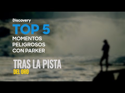 Top 5 Momentos Peligrosos con Parker | Tras la pista del oro | Discovery Latinoamérica