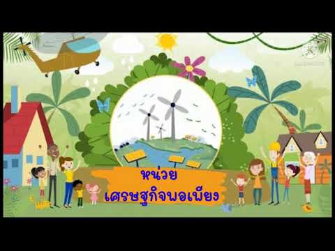 หน่วยเศรษฐกิจพอเพียง(ภาษาจีน