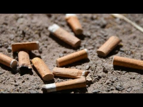 Nice : les cigarettes interdites sur toutes les plages publiques dès l’été prochain