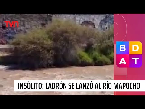 Insólito: Ladrón se lanzó al Río Mapocho para escapar | Buenos días a todos