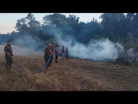 #Carabineros de #Chile combate directamente los #Incendios junto a Vecinos