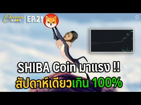 SHIBA-Coin-มาแรง-!!-|-CRYPTOSH SHIBA-Coin-มาแรง-!!-|-CRYPTOSH