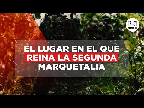 El rincón de Colombia en el que la Segunda Marquetalia tiene el control de la población