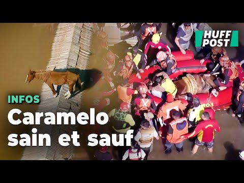 Le sauvetage délicat d’un cheval piégé par les inondations au Brésil