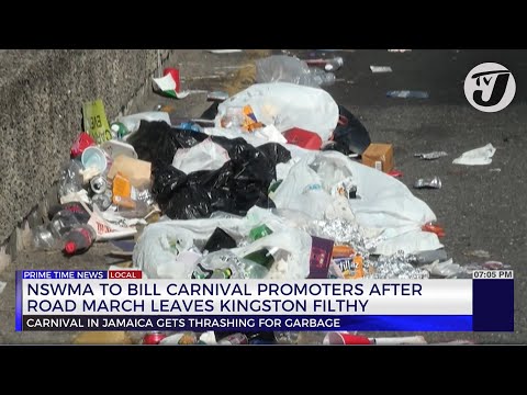 NSWMA to Bill Carnival Promoters After Road March Leaves Kingston Filthy | TVJ News
