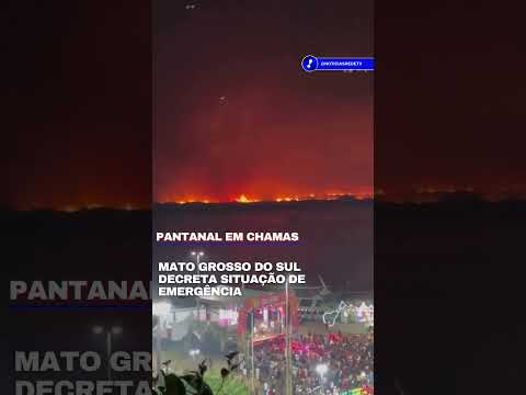 Incêndios no Pantanal: Governo de MS decreta situação de emergência em meio a festa tradicional