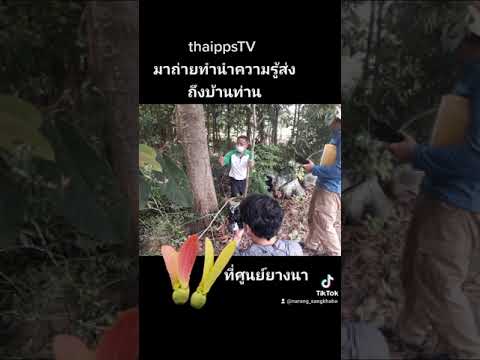 ทีวีไทยถ่ายความรู้ยางนาสู่คนไท ทีวีไทยถ่ายความรู้ยางนาสู่คนไท