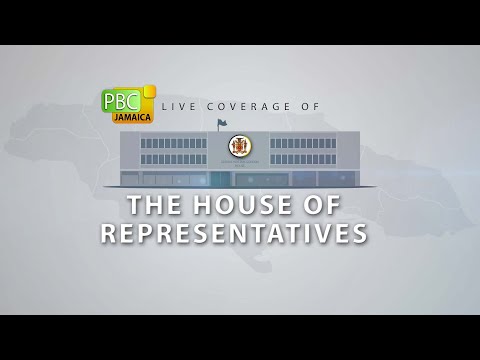 Sitting of the House of Representatives - October 3, 2023