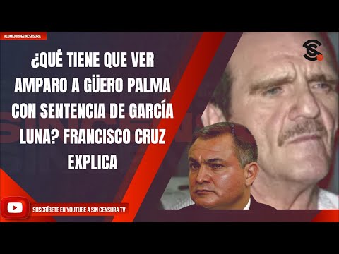 ¿QUÉ TIENE QUE VER AMPARO A GÜERO PALMA CON SENTENCIA DE GARCÍA LUNA? FRANCISCO CRUZ EXPLICA