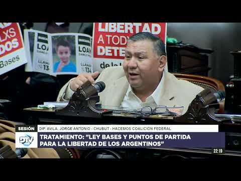 Diputado Avila, Jorge Antonio - HCF - Sesión 27-06-2024 - PL