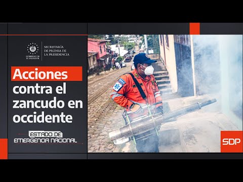 El Gobierno del Presidente Bukele lleva la jornada de control de vectores a Ahuachapán