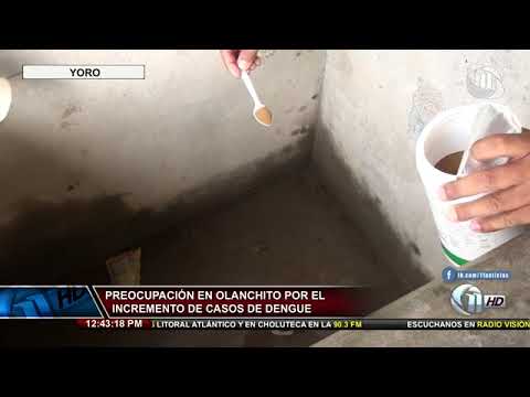 Once Noticias | Preocupación en Olanchito por el incremento de casos de dengue