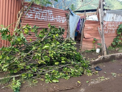 Fuertes lluvias provocan problemas en viviendas de Amatitlán