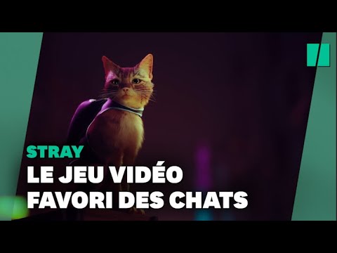 Le jeu vidéo Stray, favori des César du jeu vidéo, plait aussi beaucoup aux chats