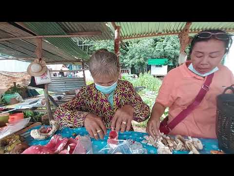 ชาวบ้านมีเห็ดหลายชนิดมาขาย!!หิ ชาวบ้านมีเห็ดหลายชนิดมาขาย!!หิ
