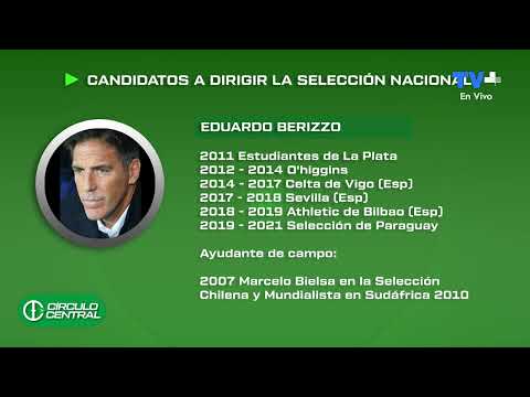 Los candidatos que podrían dirigir a la selección chilena