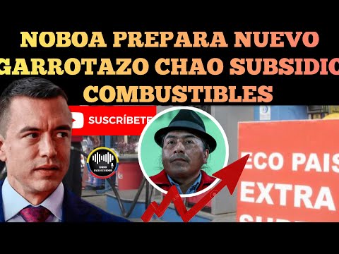 DANIEL NOBOA PREPARA NUEVO GARROTAZO AL PUEBLO ADIOS SUBSIDIOS DE LOS COMBUSTIBLES NOTICIAS RFE TV