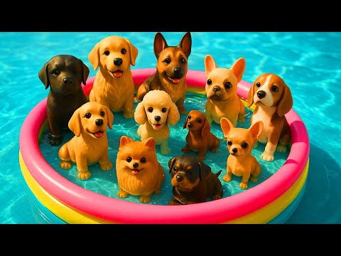 YouTube video thumbnail