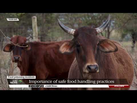 Food Safety | Importance of safe food handling practices