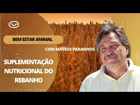 Bem-estar Animal: Suplementação nutricional do rebanho