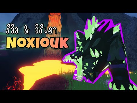 Noxioukวิธีหาและรีวิว|Cre