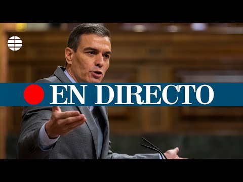 DIRECTO CONGRESO | Pedro Sánchez acude a la sesión de control al Gobierno