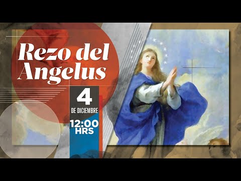 Ángelus, viernes 04/12/2020