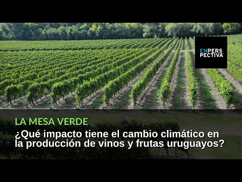 Vinos, frutas y cambio climático: La Mesa Verde