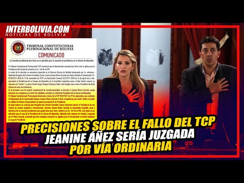 ? 11 precisiones sobre el fallo del TCP sobre el gobierno de JEANINE ÁÑEZ ?