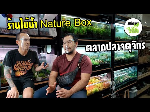 พาชมร้านไม้น้ำ-ร้าน-Nature-Box พาชมร้านไม้น้ำ-ร้าน-Nature-Box