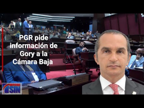 PGR pide información de Gory a la Cámara baja