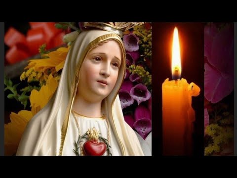 ? SANTO ROSARIO A NUESTRA SEÑORA DE FÁTIMA HOY LUNES 23 DE SEPTIEMBRE DE 2024 . MISTERIOS GOZOSOS