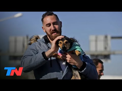LIBEREN A COCO: UN FINAL FELIZ | El perro Coco cumplió con la cuarentena: reencuentro con su dueño