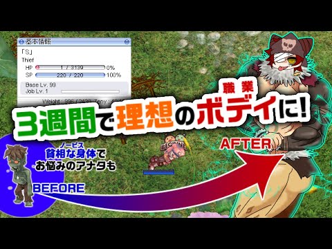 HITトレーニングは裏切らない。ラグ缶は裏切る。コスたまは寄り添う。いっしょにHITとれーにんぐ！【ラグナロクオンライン】